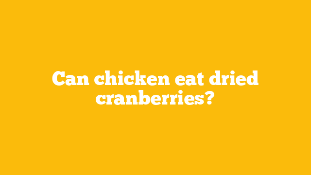 Can chicken eat dried cranberries?