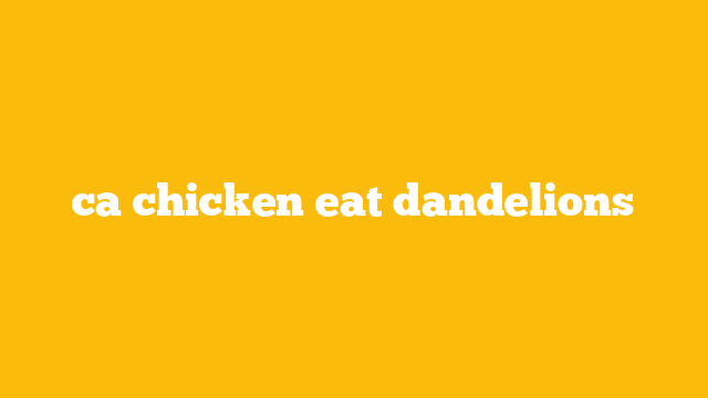 ca chicken eat dandelions
