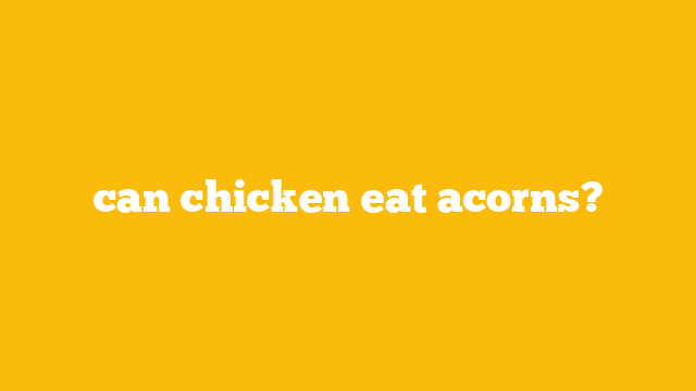 can chicken eat acorns?