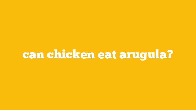 can chicken eat arugula?
