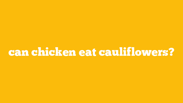 can chicken eat cauliflowers?