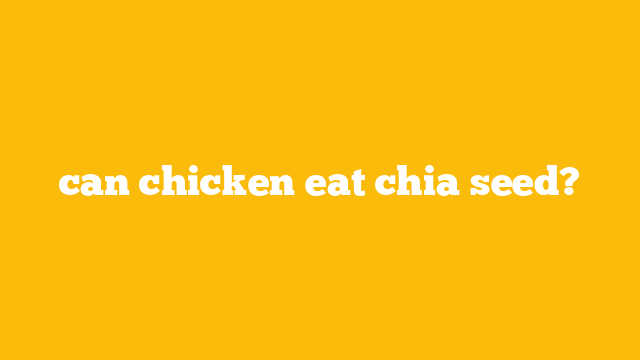 can chicken eat chia seed?