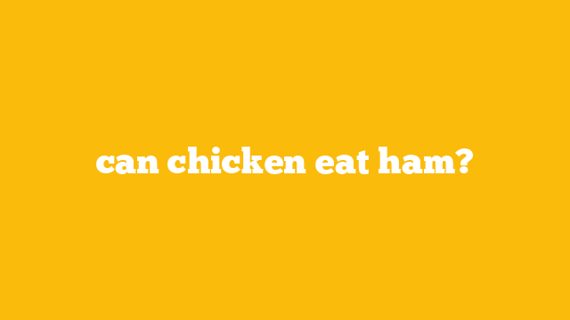 can chicken eat ham?