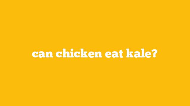 can chicken eat kale?