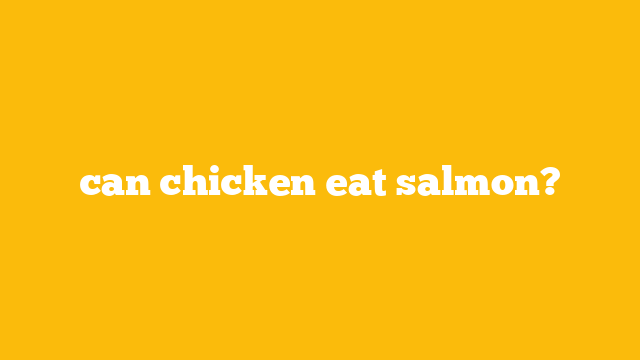 can chicken eat salmon?