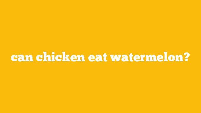 can chicken eat watermelon?