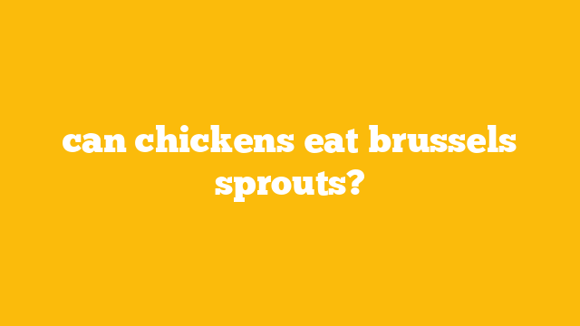 can chickens eat brussels sprouts?