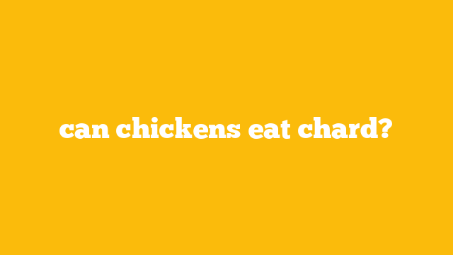 can chickens eat chard?