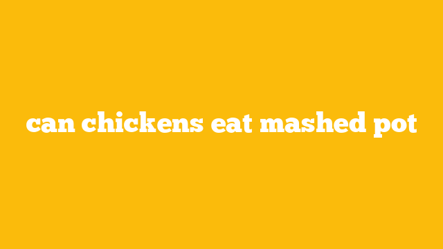 can chickens eat mashed pot