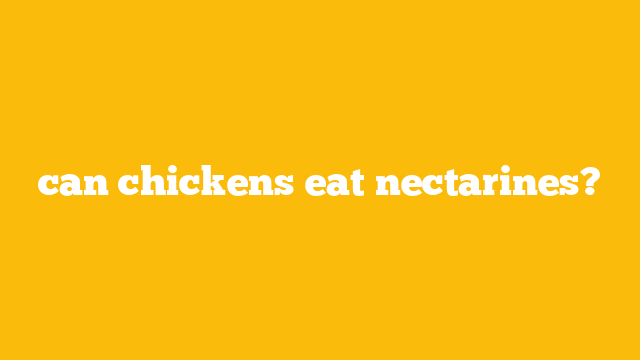 can chickens eat nectarines?