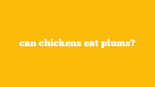 can chickens eat plums?
